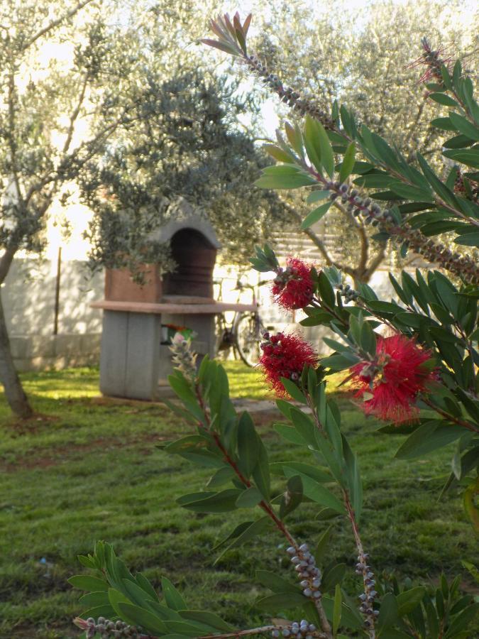 Twins Villa Rosini Exteriör bild